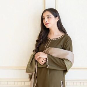 3pcs women's unstiched embroidered suit